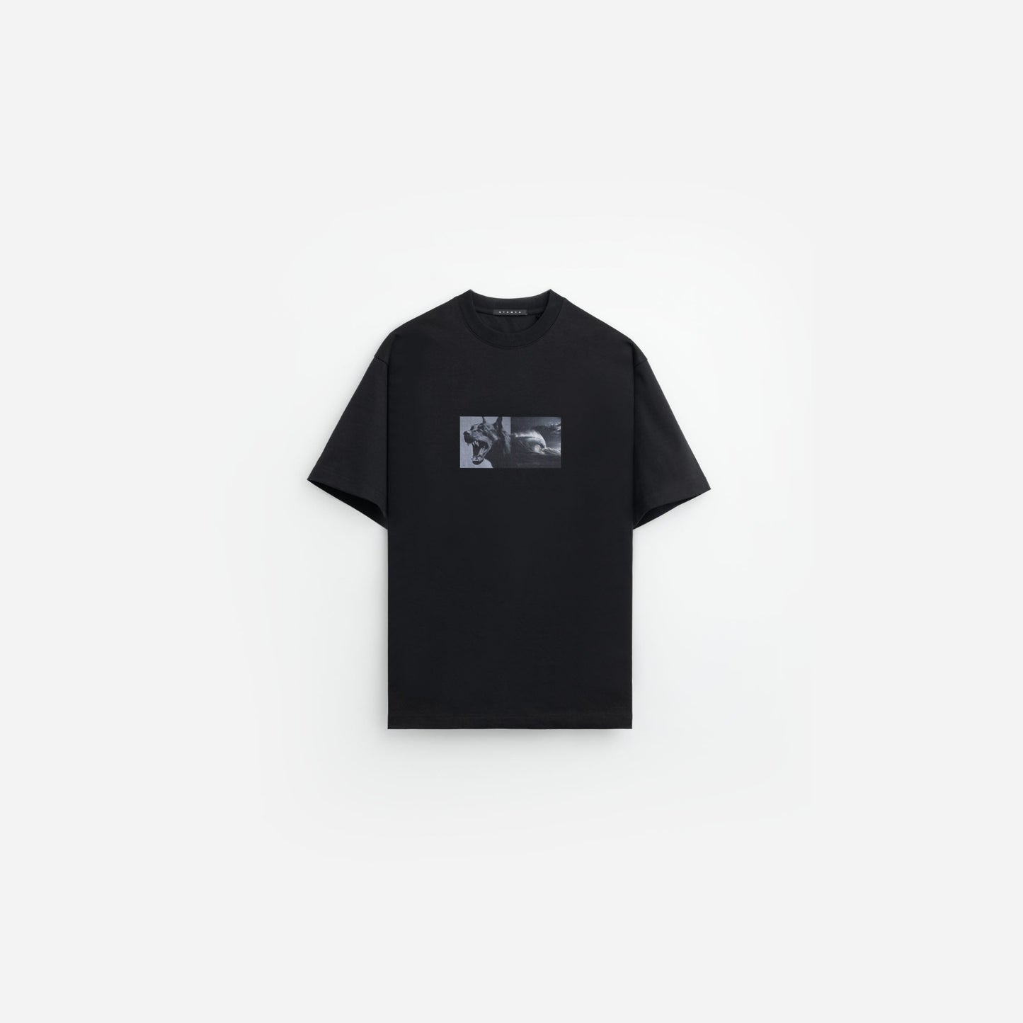 Photographic Wave Relaxed Tee