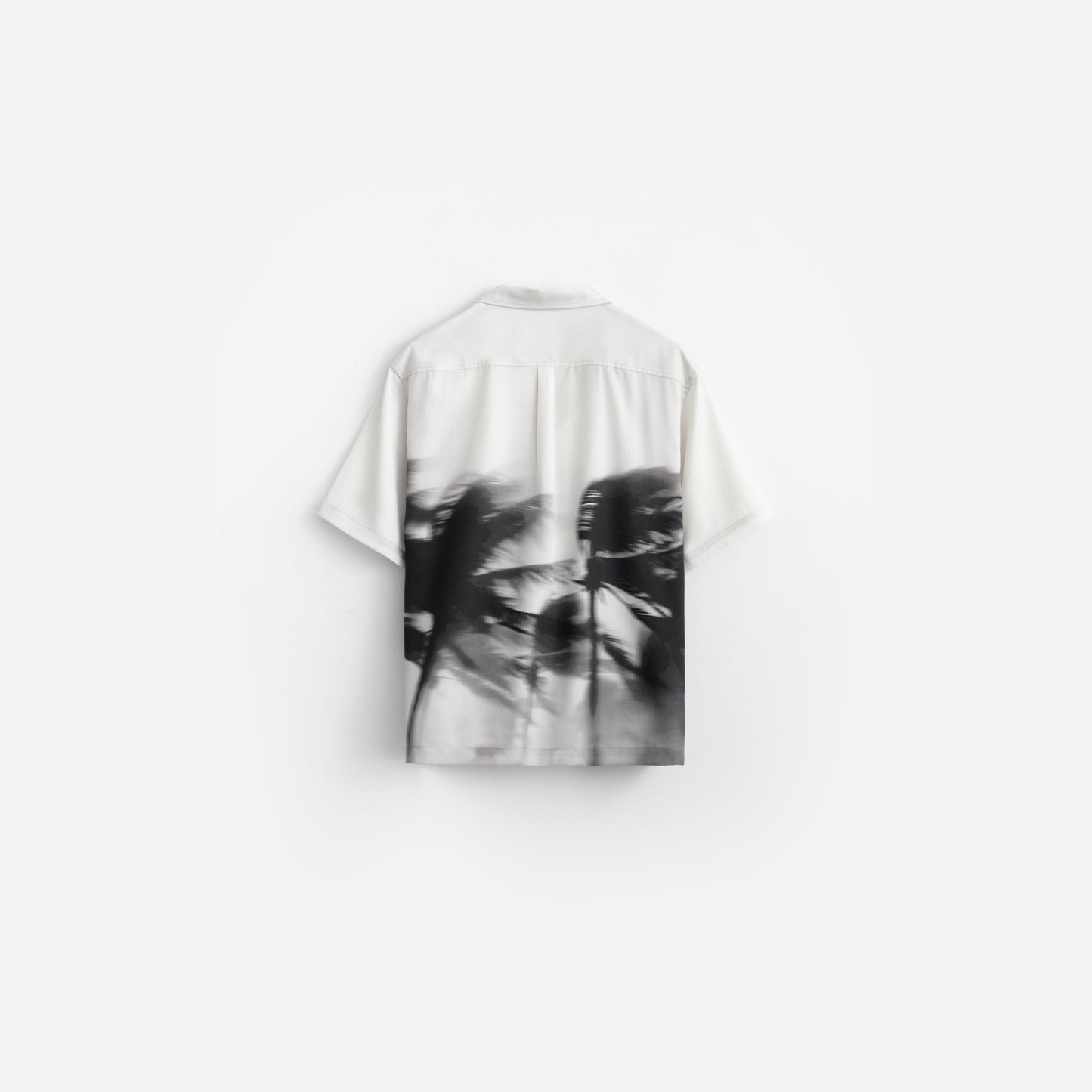 Palms in Motion Camp Collar